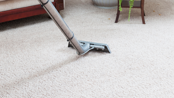 Consider Main Components of Carpet Cleaning in Mill Park