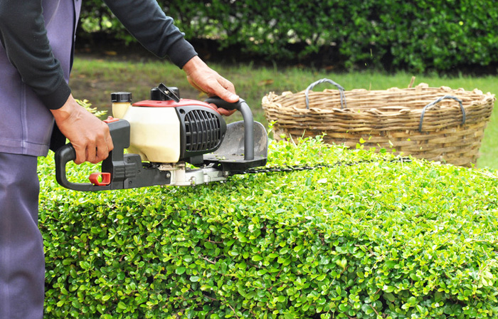 Did You Know The Importance Of Garden Lawn Maintenance Services?