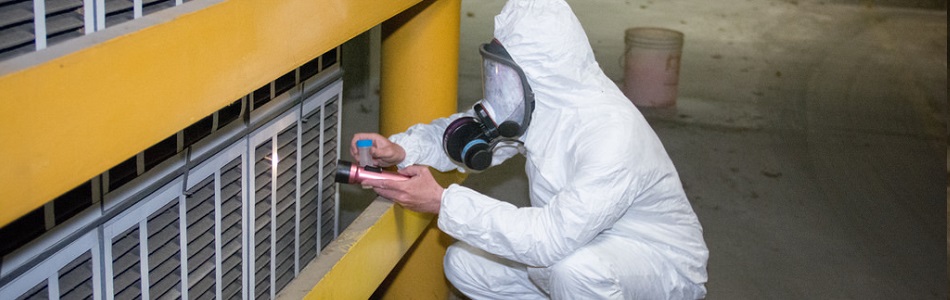 Why you should have asbestos testing in first priority?