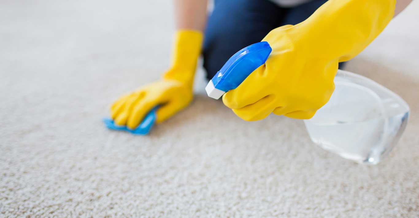 How Exit Cleaning Services Help You Out in the End?