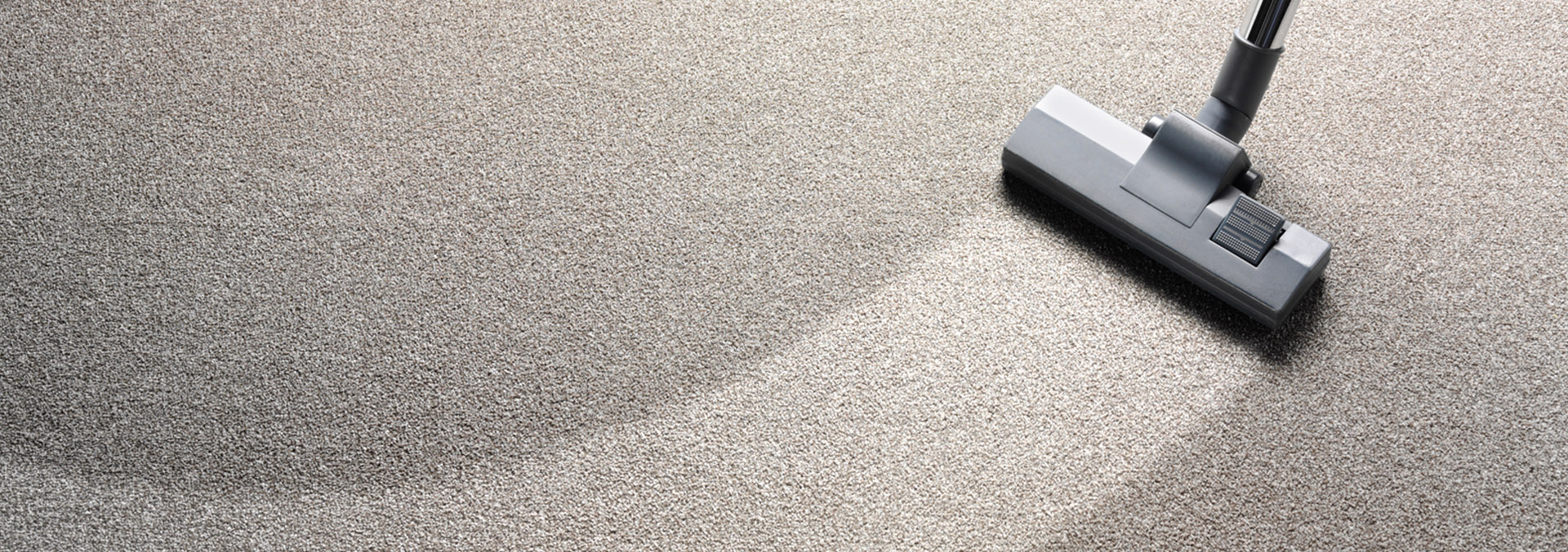 Keeping Carpet Clean Is Affordable now in Adelaide
