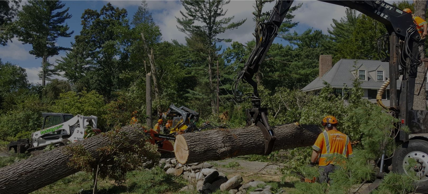 Few Factors To Consider While Choosing a tree removal Melbourne