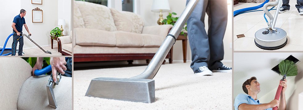 How to Restore Professional Carpet Cleaning Geelong Service?