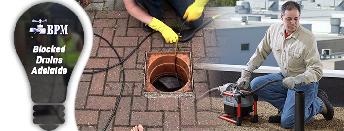 Blocked Drain Adelaide – Professional Attention as Safety Step for Property