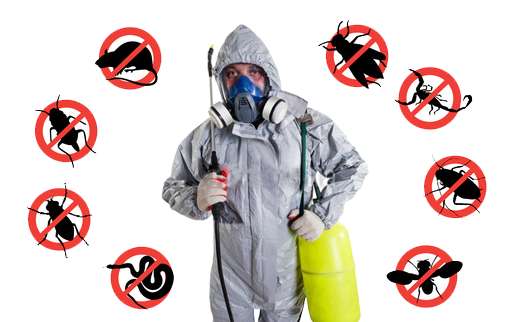 Fast Pest Control Melbourne