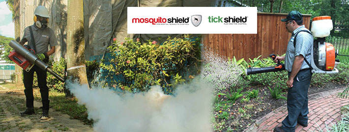 An Expert’s Suggestions on How to Stay Safe from Mosquito Bites