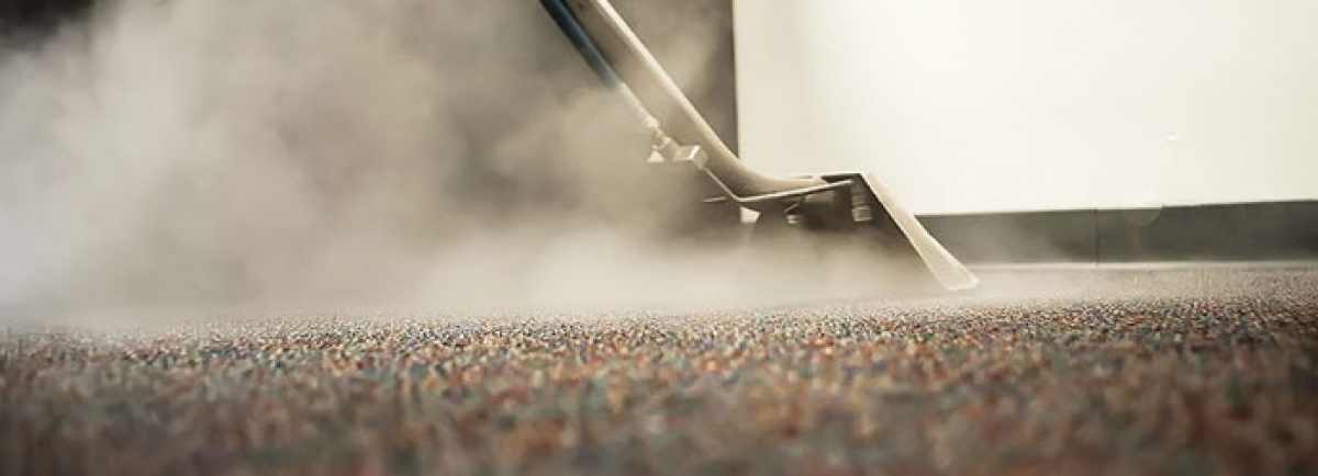 Learn About Effective Steam Carpet Cleaning Method Over Mould