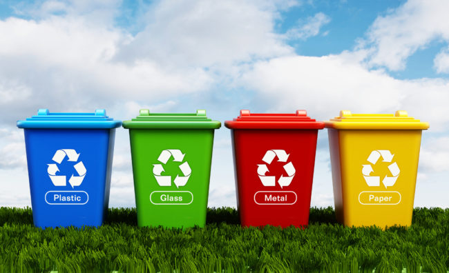 Can You Throw Glass In Waste Removal Bin? Find The Right Answer!