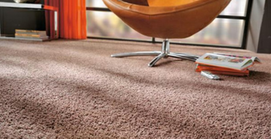 The Pros and Cons of Hiring a Carpet Cleaning Company