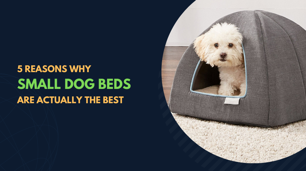 5 Reasons Why Small Dog Beds Are Actually The Best