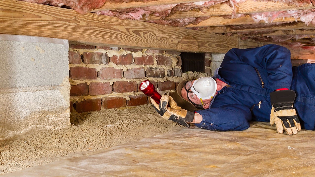 How Often Should You Get a Termite Inspection?