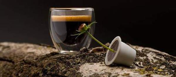 Biodegradable Coffee Pods