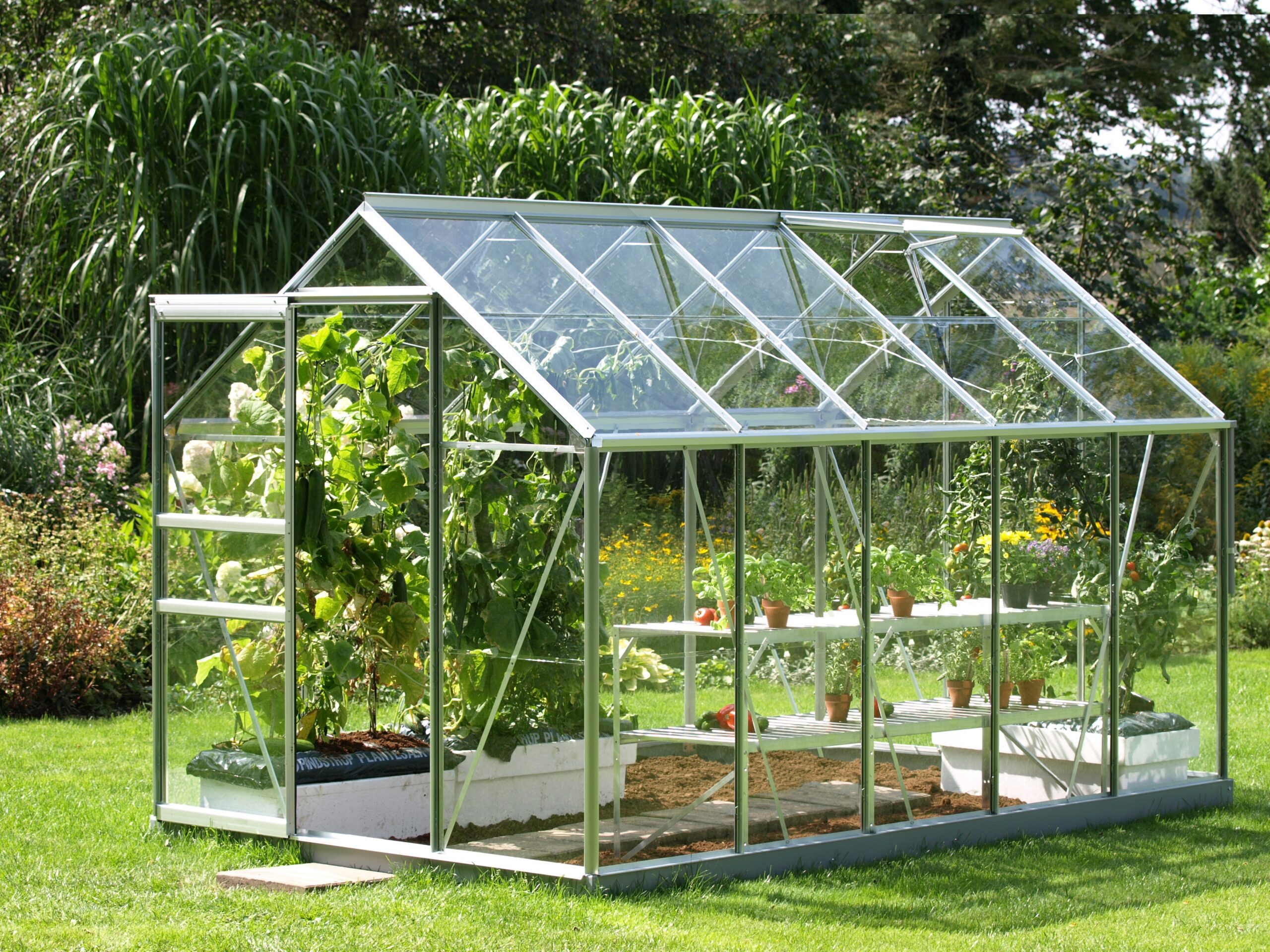 What You Need To Know About Greenhouse For Sale?