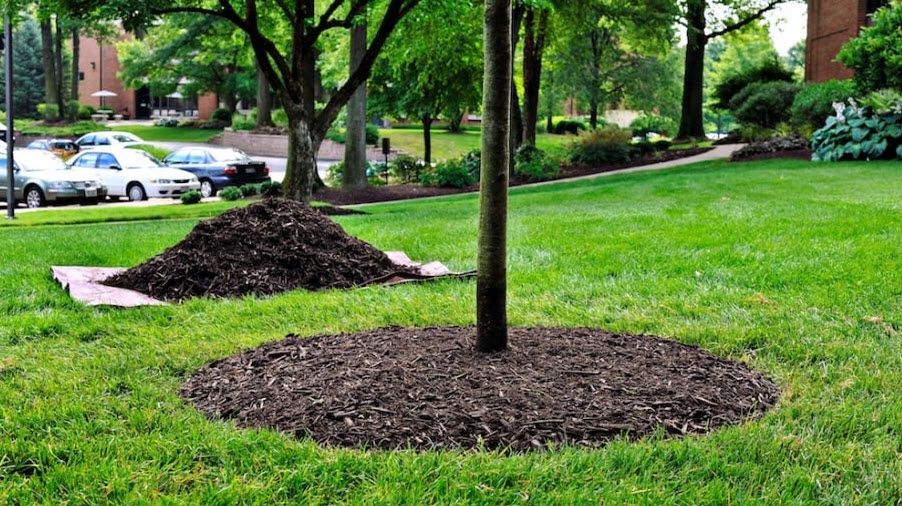 Why Is Mulch Important For Your Garden’s Health?