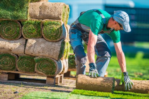 The Ultimate Guide To Garden Maintenance: Keeping Your Garden Flourishing All Year Round