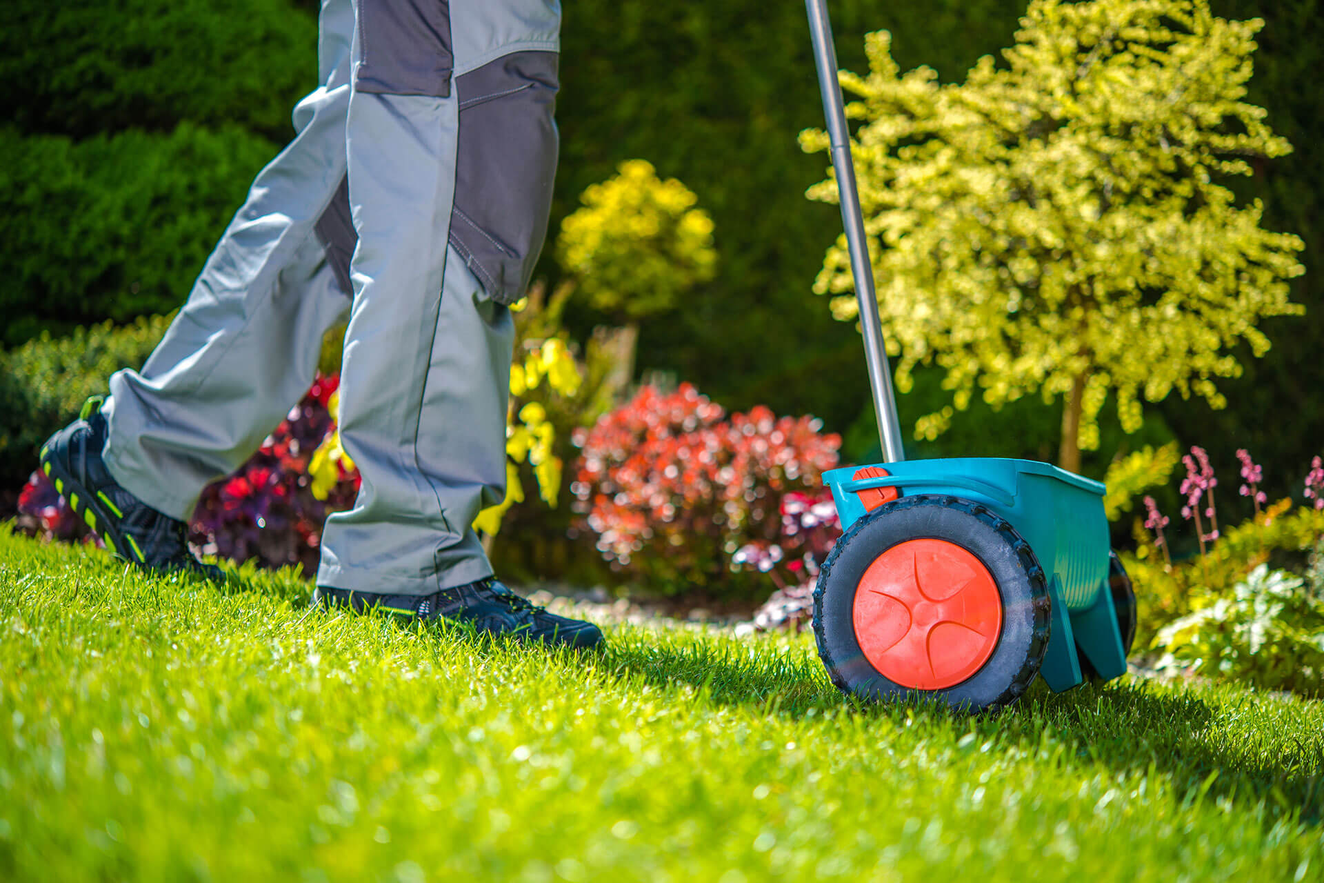 Why Should You Hire Experts for Lawn Care?
