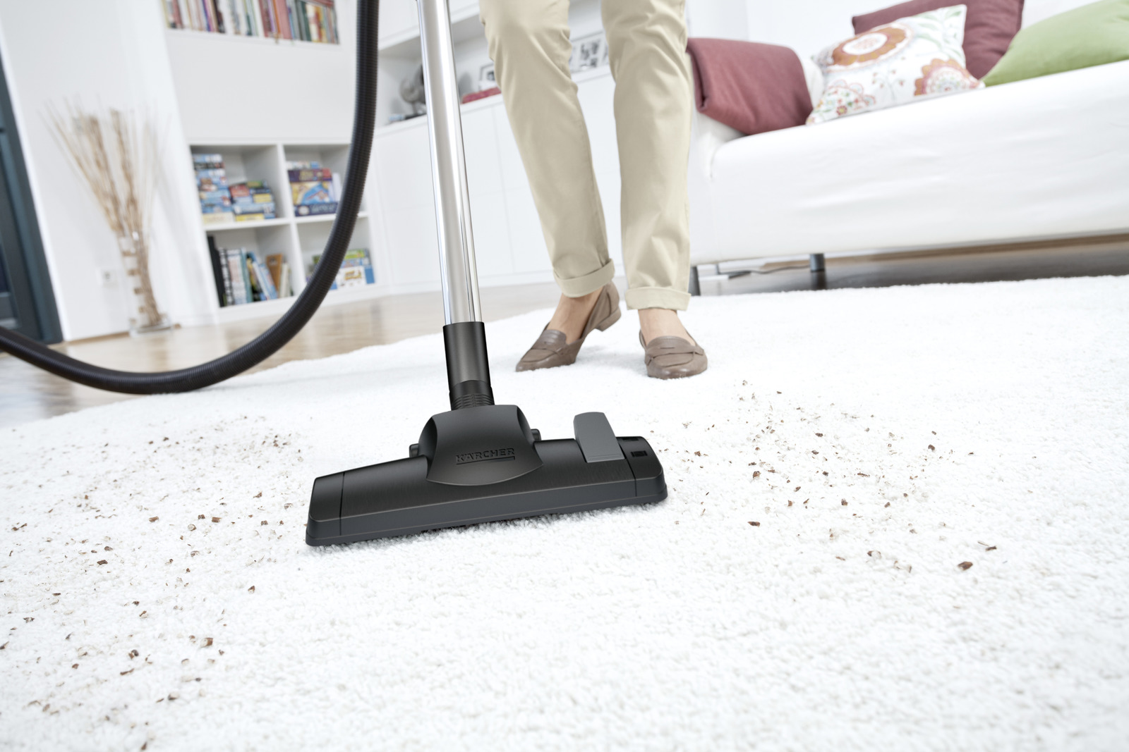 Why Professional Carpet Cleaning Services Are Crucial for Dust Mite Control?