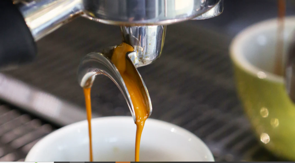 What To Expect From Premium Coffee Roasters And Suppliers?