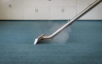 How Carpet Steam Cleaning Extends Your Carpet’s Lifespan?